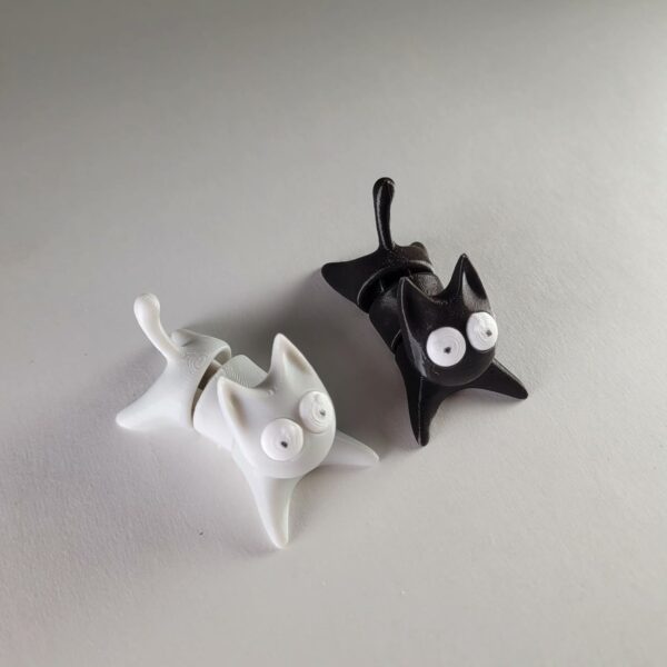 551251424_17842925088579699_2974457753900204626_n Котята